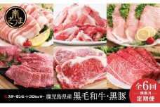 【定期便 全6回】スターゼン厳選お肉の定期便（鹿児島県産黒毛和牛・黒豚） 牛肉 豚肉 サーロイン ステーキ 切り落とし しゃぶしゃぶ 焼肉 すき焼き もも モモ バラ ロース スライス 小分け 定期便 冷凍 スターゼン 南さつま市