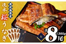 熟練の技が冴える！うなぎの柳澤 流水桜うなぎの蒲焼き8尾(計1360g) f0-023