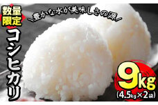【米の匠】川崎さん自慢のコシヒカリ 計9kg(4.5kg×2袋) b2-034-R6-3w