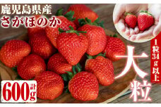 a4-040 1粒34g以上の大粒いちご さがほのか 計600g(300g×2パック)