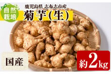 a3-103 天然イヌリンの力 国産生菊芋 約2kg