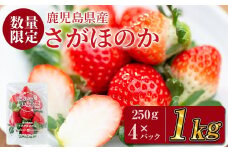 鹿児島県産いちご！愛情たっぷりさがほのか 計1kg(250g×4パック) a5-067