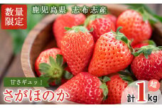 a5-086 【数量限定】鹿児島県産 いちごの村から「さがほのか」計1kg以上(270g以上×4パック)