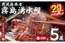 【数量限定】【お礼の品人気No1】霧島湧水鰻の蒲焼き 160g以上×5尾＜計800g以上＞ きざみうなぎ付き  うなぎ 鰻 ウナギ 5尾 国産 九州産 蒲焼き かばやき 冷凍 うな重 ひつまぶし タレ 山椒 ランキング 人気 b8-038-kizami
