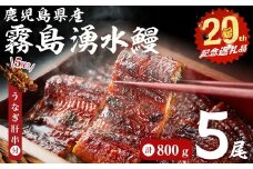 【数量限定】【お礼の品人気No1】霧島湧水鰻の蒲焼き 160g以上×5尾＜計800g以上＞ うなぎ肝串付き うなぎ 鰻 ウナギ 5尾 国産 九州産 蒲焼き かばやき 冷凍 うな重 ひつまぶし タレ 山椒 ランキング 人気 b8-038-km