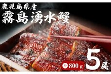 【数量限定】【お礼の品人気No1】霧島湧水鰻の蒲焼き 160g以上×5尾＜計800g以上＞　うなぎ 鰻 ウナギ 5尾 国産 九州産 蒲焼き かばやき 冷凍 うな重 ひつまぶし タレ 山椒 ランキング 人気 b8-038