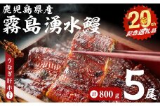 【数量限定】【お礼の品人気No1】霧島湧水鰻の蒲焼き 160g以上×5尾＜計800g以上＞ うなぎ肝串セット うなぎ 鰻 ウナギ 5尾 国産 九州産 蒲焼き かばやき 冷凍 うな重 ひつまぶし タレ 山椒 ランキング 人気 b8-038-km