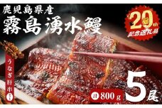 【数量限定】【お礼の品人気No1】霧島湧水鰻の蒲焼き 160g以上×5尾＜計800g以上＞ うなぎ肝串セット うなぎ 鰻 ウナギ 5尾 国産 九州産 蒲焼き かばやき 冷凍 うな重 ひつまぶし タレ 山椒 ランキング 人気 b8-038-km