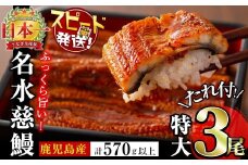 鹿児島県産うなぎ蒲焼 名水慈鰻 特大3尾(1尾190g以上)＜計570g以上＞　うなぎ 鰻 ウナギ 3尾 国産 蒲焼 かばやき 冷凍 真空 真空パック 無頭 うな重 ひつまぶし タレ 山椒 b1-023