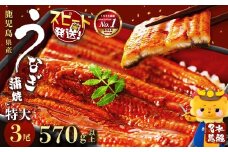 鹿児島県産うなぎ蒲焼 名水慈鰻 特大3尾(1尾190g以上)＜計570g以上＞　うなぎ 鰻 ウナギ 3尾 国産 蒲焼 かばやき 冷凍 真空 真空パック 無頭 うな重 ひつまぶし タレ 山椒 b1-023