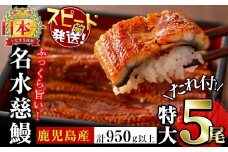 鹿児島県産うなぎ蒲焼 名水慈鰻 特大5尾(1尾190g以上)＜計950g以上＞ うなぎ 鰻 ウナギ 5尾 国産 九州産 蒲焼き かばやき 冷凍 うな重 ひつまぶし タレ 山椒 ランキング 人気 c5-035
