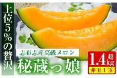 【冬限定】極上メロン「秘蔵っ娘」赤玉(赤肉)1個 メロン マスクメロン 果物 くだもの デザート 赤肉 a5-060-w