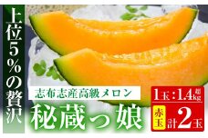 【冬限定】極上メロン「秘蔵っ娘」赤玉(赤肉)2個 メロン マスクメロン 果物 くだもの デザート 赤肉 b5-036-w