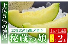 【冬限定】極上メロン「秘蔵っ娘」白玉(青肉)2個 メロン マスクメロン 果物 くだもの デザート 青肉 b5-037-w