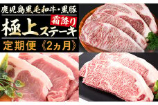 《定期便・全2回》鹿児島県産 黒毛和牛&黒豚 極上ステーキ定期便＜計12枚・2.1kg＞ 肩ロースしゃぶしゃぶと大根ぽんず付き! t0054-002