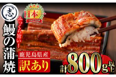 【訳あり・数量限定】復活！不揃いのうなぎ達 計800g以上(鹿児島県産 鰻の蒲焼き)　うなぎ 鰻 ウナギ 不揃い ふぞろい 訳アリ 国産 九州産 蒲焼 蒲焼き かばやき 冷凍 うな重 ひつまぶし 人気 b2-040