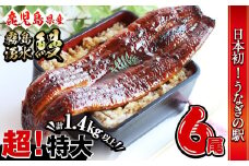 【数量限定】超特大！鹿児島県産 山田水産の霧島湧水鰻(計1400g以上・236g以上×6尾) うなぎ 鰻 ウナギ 6尾 国産 九州産 蒲焼き かばやき 冷凍 うな重 ひつまぶし タレ 山椒 人気 c5-039