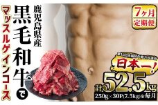 t100-001 【定期便・7ヶ月】鹿児島県産黒毛和牛赤身肉 マッスルゲインコース！250g×30P×7ヶ月(計52.5kg)