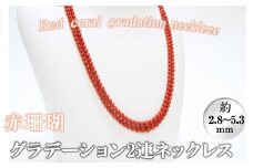 【数量限定】赤珊瑚グラデーション2連ネックレス (赤珊瑚:約約2.8～5.3mm) 珊瑚 サンゴ アクセサリー ネックレス wb7-003