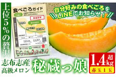 a5-130 【冬限定】数量限定！食べるタイミングがわかるメロン「秘蔵っ娘」赤玉(赤肉)1個