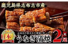 うなぎの大楠＜大＞2尾セット計300g(150g×2) a5-244