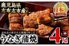 うなぎの大楠＜中＞4尾セット計520g(130g×4) b5-171