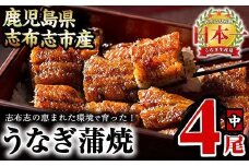 うなぎの大楠＜中＞4尾セット計520g(130g×4) b5-171