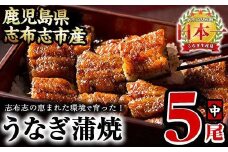 うなぎの大楠＜中＞5尾セット計650g(130g×5) c0-094