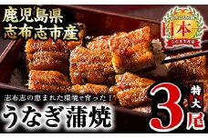 うなぎの大楠＜特大＞3尾セット計510g(170g×3) b3-005