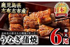 うなぎの大楠＜特大＞6尾セット計1kg超(170g×6) d5-001