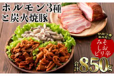 a0-113 豚バラ炭火焼豚・やみつきホルモン3種セット(合計850g)