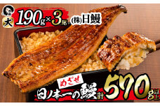 日ノ本一の鰻の蒲焼き＜大＞3尾セット(計570g以上) b8-022