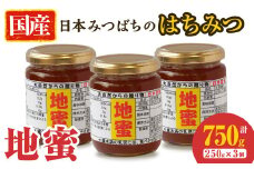 希少な日本みつばちの国産はちみつ(地蜜)計750g(250g×3個) b8-012