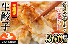 t003-003 【定期便・全3回】3ヵ月に1回お届け！ぎょうざ好きのための餃子定期便