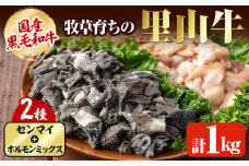 国産黒毛和牛 牧草育ちの里山牛 センマイ・ホルモンミックス計1kg 黒毛和牛 和牛 肉 牛肉 国産 ホルモン センマイ もつ 焼肉 BBQ a5-277