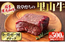 国産黒毛和牛 牧草育ちの里山牛 ローストビーフ用ブロック肉計500g 黒毛和牛 和牛 肉 牛肉 国産 ローストビーフ ブロック 赤身 a9-020