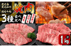 【焼肉3種！食べ比べセット】鹿児島県産黒毛和牛 モモ・肩ロース・国産ホルモンの焼肉3種セット＜計1kg＞ 牛肉 肉 焼肉 セット 焼肉セット 焼き肉 小分け 食べ比べ 赤身 霜降り ホルモン やきにく BBQ b2-030