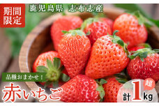 鹿児島県産いちご！ 品種おまかせ赤いちご4Pセット(計1kg・約270g×4P) a5-168