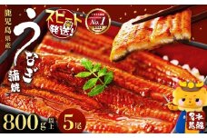 【志布志市制20周年記念】【数量限定】国産うなぎ蒲焼名水慈鰻5尾（合計800ｇ以上） うなぎ 鰻 ウナギ 5尾 国産 蒲焼 かばやき 冷凍 真空 真空パック 無頭 うな重 ひつまぶし タレ 山椒 b98-001