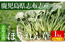 【数量限定】志布志湾ほうれん草(200g×5袋 合計1kg) サラダ おひたし お味噌汁 スムージー ほうれん草 ジュース ほうれんそう a1-032