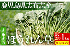 【数量限定・訳あり】志布志湾ほうれん草(計1kg 200g×5袋) サラダ おひたし お味噌汁 スムージー ほうれん草 ジュース ほうれんそう p7-034