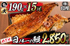 日ノ本一の鰻の蒲焼き＜大＞計15尾セット(計2,850g以上) wa24-006