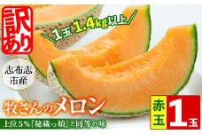 【冬限定・数量限定】牧さんの訳ありメロン 赤玉(赤肉)1玉 メロン マスクメロン 果物 くだもの デザート 赤肉 訳あり a1-057-w