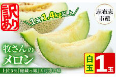 【冬限定・数量限定】牧さんの訳ありメロン 白玉(青肉)1玉 メロン マスクメロン 果物 くだもの デザート 赤肉 訳あり a1-058-w