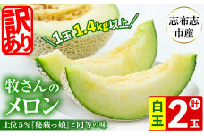 【冬限定・数量限定】牧さんの訳ありメロン 白玉(青肉)計2玉 メロン マスクメロン 果物 くだもの デザート 青肉 訳あり b0-106-w