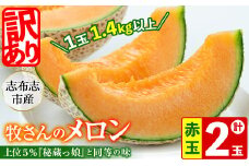 【冬限定・数量限定】牧さんの訳ありメロン 赤玉(赤肉)計2玉 メロン マスクメロン 果物 くだもの デザート 赤肉 訳あり b0-105-w