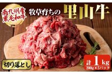 【志布志市制20周年記念】＜期間限定規格＞ 国産黒毛和牛 牧草育ちの里山牛 切り落とし計1kg(200g×5パック) 黒毛和牛 和牛 肉 牛肉 国産 切り落とし 赤身 真空パック a9-042