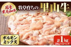 国産黒毛和牛 牧草育ちの里山牛 ホルモンミックス 計1kg 黒毛和牛 和牛 肉 牛肉 国産 小腸 大腸 アカセン もつ もつ鍋 焼肉 小分け a9-023