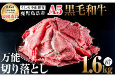 ＜A5等級＞鹿児島県産黒毛和牛万能切り落とし 計1.6kg(400g×4P) b5-138