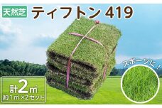 天然芝 サッカー場や野球場に！＜ティフトン419＞ 2平米 a0-183